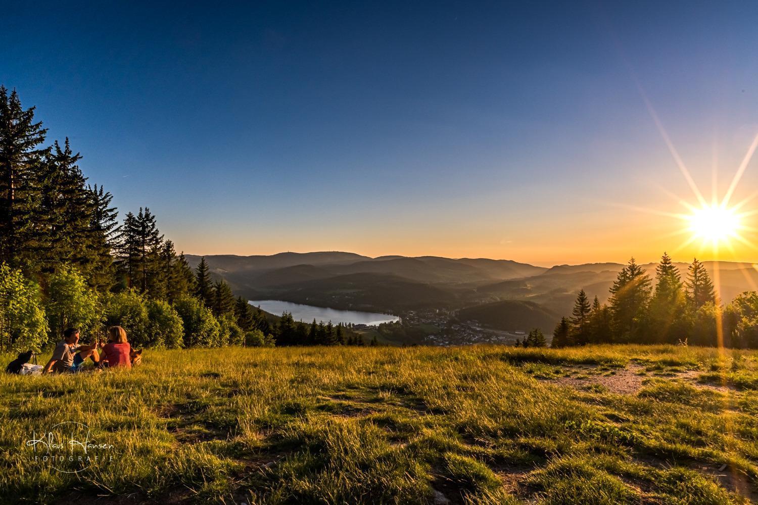 Apartment 13 - Ferienresidenz Roseneck, Mit Schwimmbad In Todtnauberg Bei Feldberg Εξωτερικό φωτογραφία