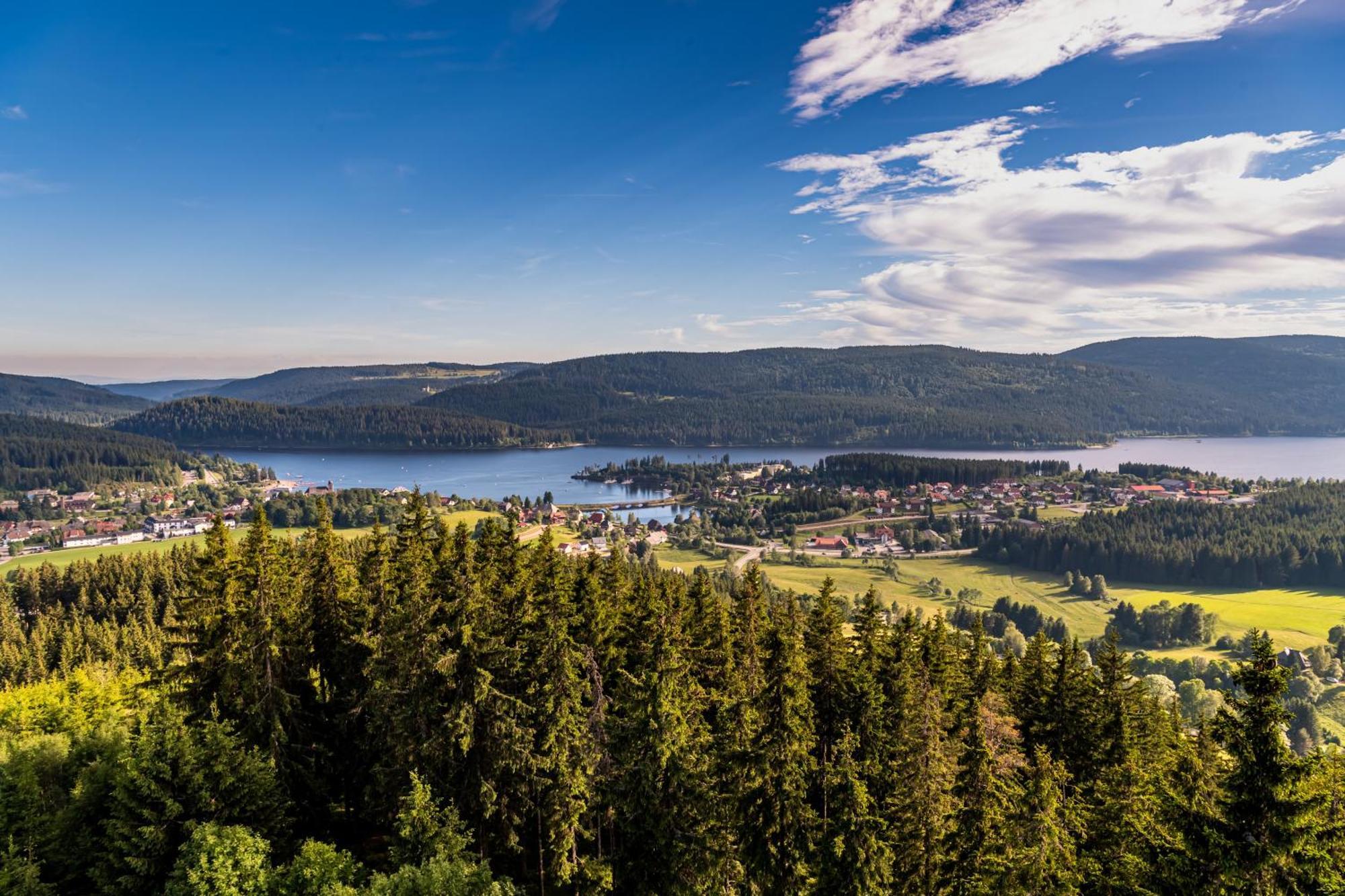 Apartment 13 - Ferienresidenz Roseneck, Mit Schwimmbad In Todtnauberg Bei Feldberg Εξωτερικό φωτογραφία