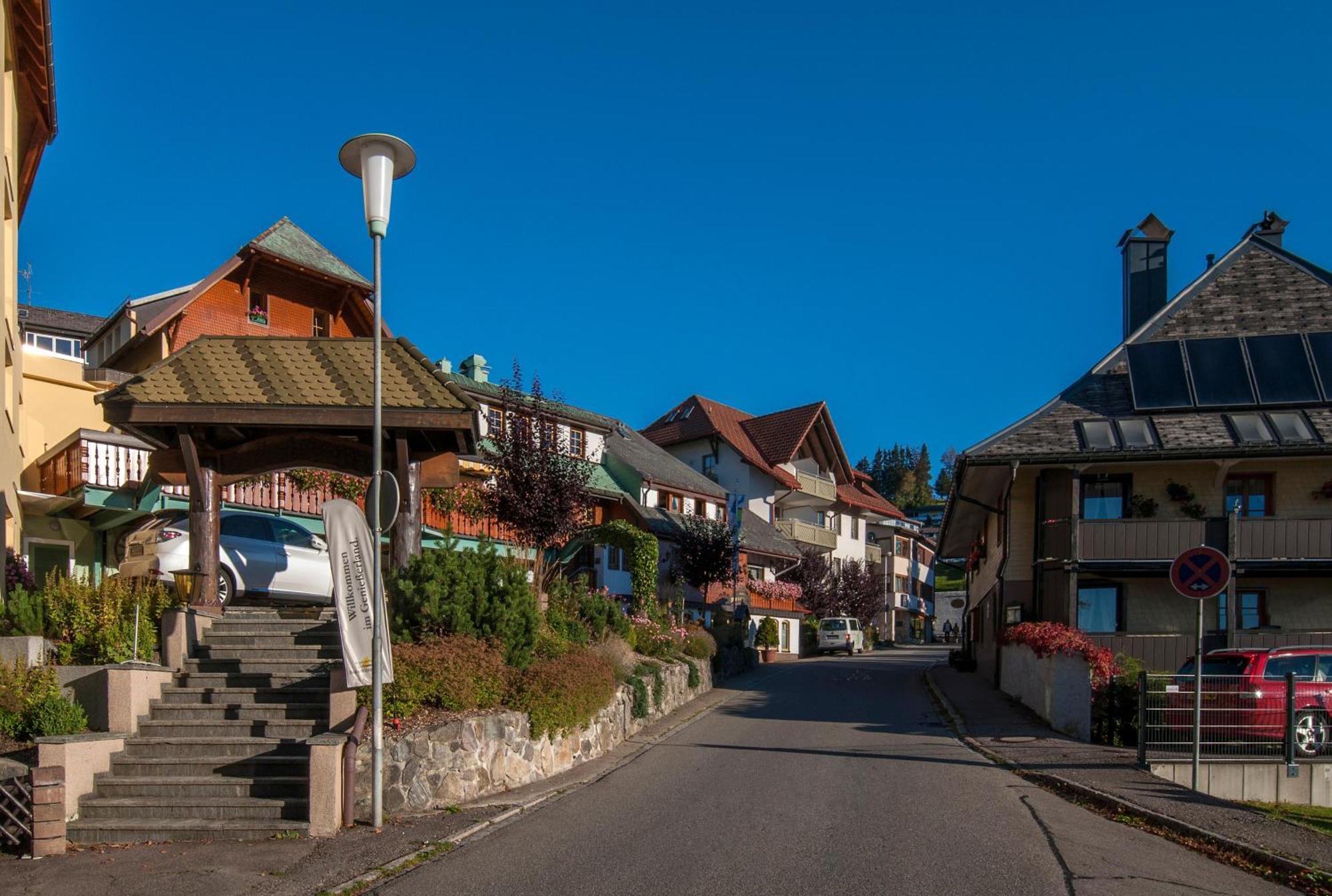 Apartment 13 - Ferienresidenz Roseneck, Mit Schwimmbad In Todtnauberg Bei Feldberg Εξωτερικό φωτογραφία