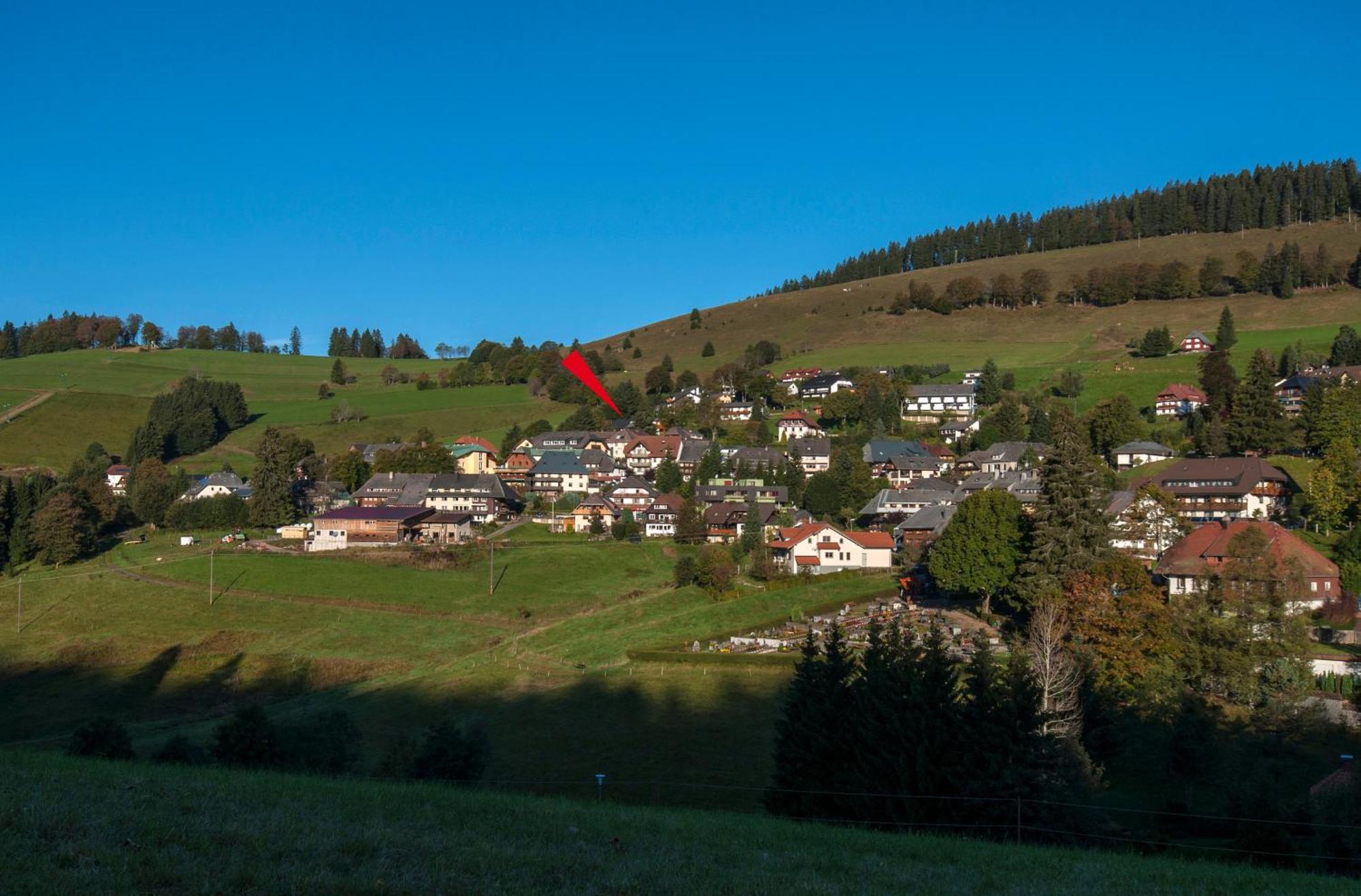 Apartment 13 - Ferienresidenz Roseneck, Mit Schwimmbad In Todtnauberg Bei Feldberg Εξωτερικό φωτογραφία